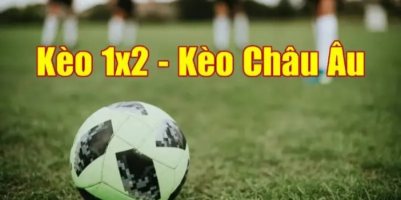 Cách đọc tỷ lệ kèo châu Âu chuẩn cho người mới